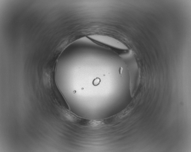 X0000063450333200602101655