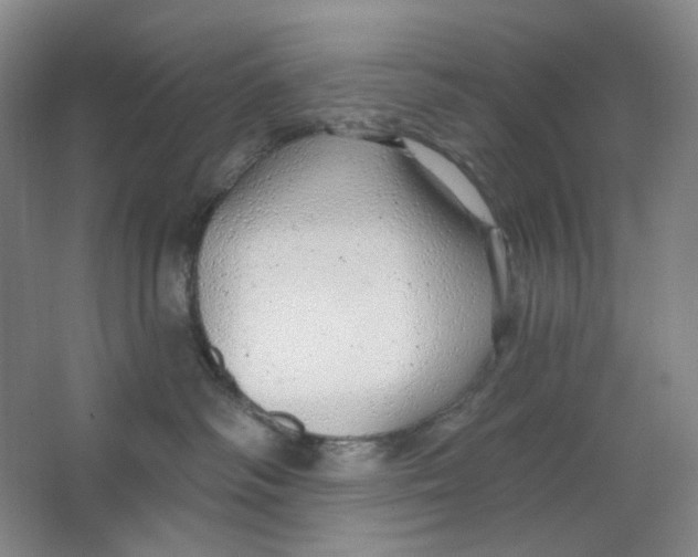 X0000063450334200602101655