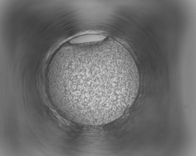 X0000063450337200602101654