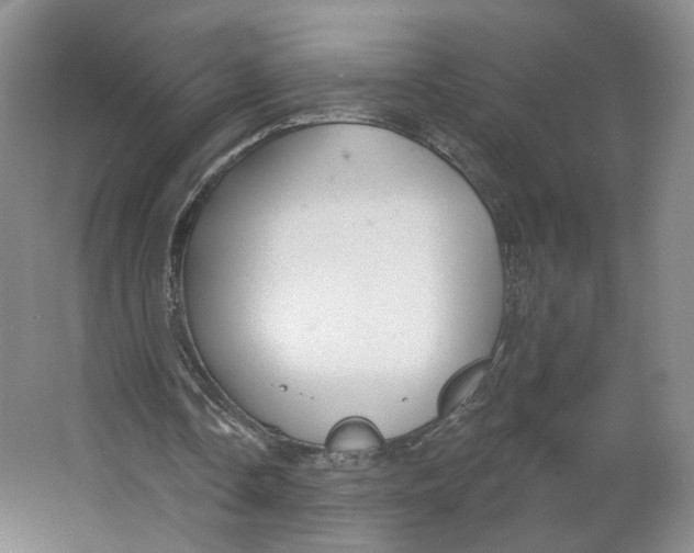 X0000063450338200602101654