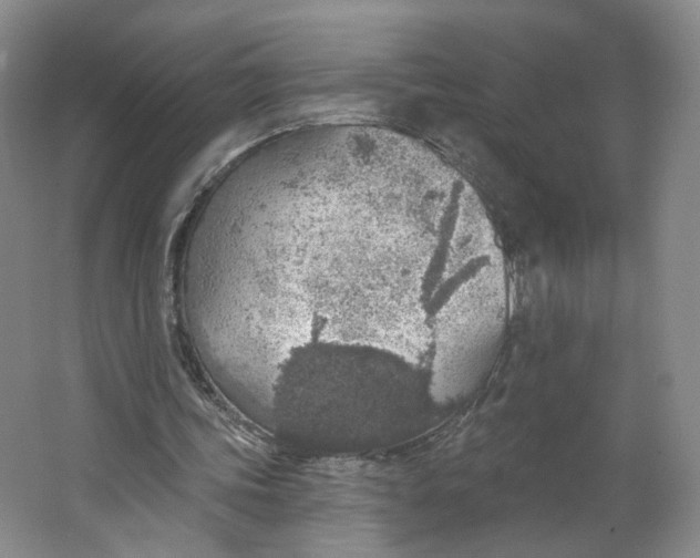 X0000063450339200602101654