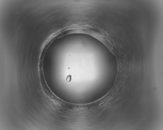 X0000063450340200602101654