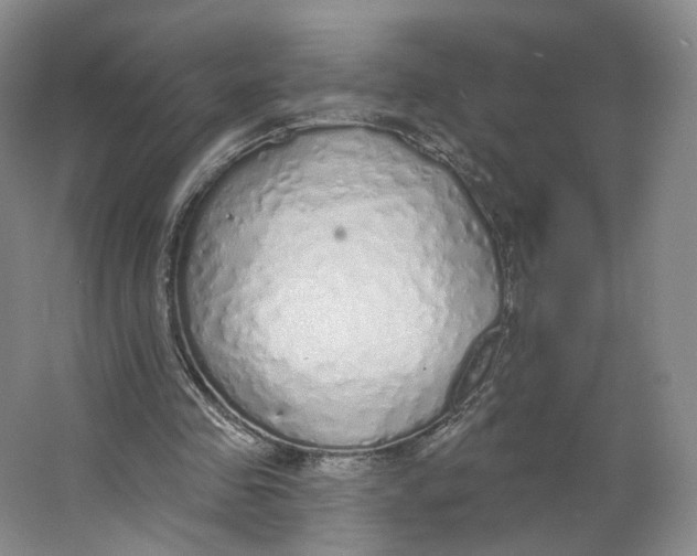 X0000063450341200602101654