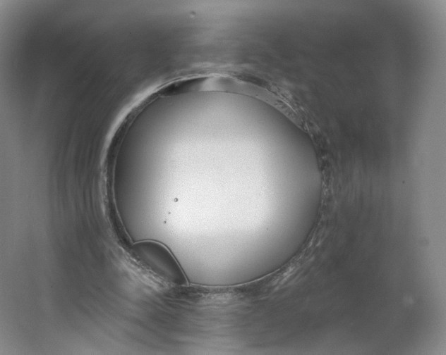 X0000063450342200602101654