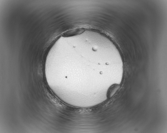 X0000063450345200602101654