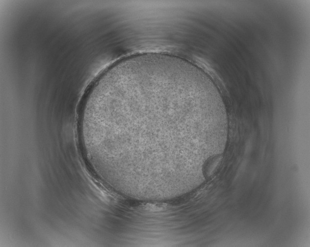 X0000063450346200602101654