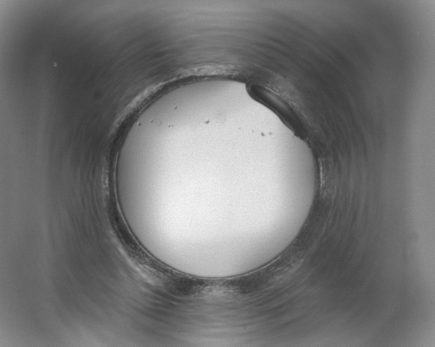 X0000063450348200602101654