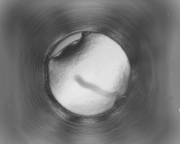 X0000063450349200602101654