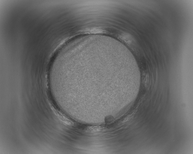 X0000063450351200602101654