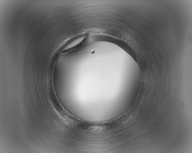 X0000063450352200602101654