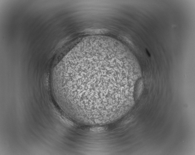 X0000063450357200602101654