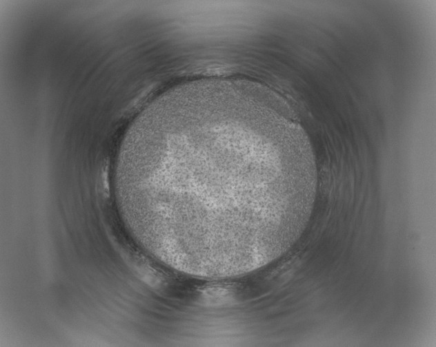 X0000063450358200602101654