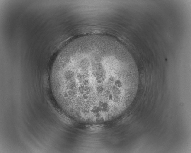 X0000063450359200602101654