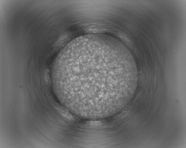 X0000063450361200602101654