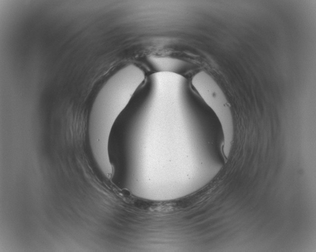 X0000063450362200602101654