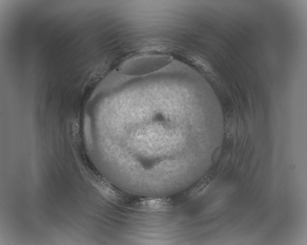 X0000063450365200602101654