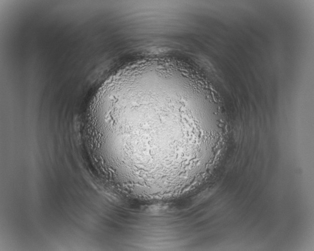 X0000063450366200602101654