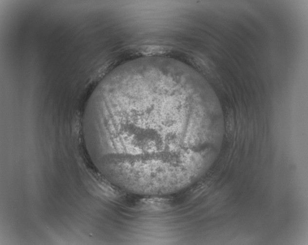 X0000063450367200602101654