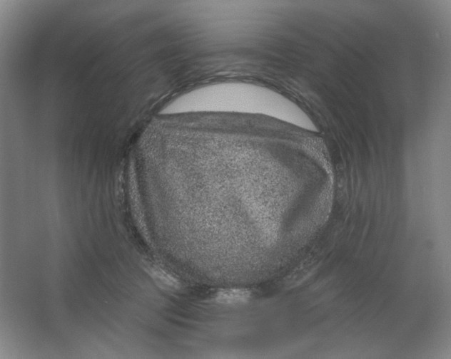 X0000063450369200602101654