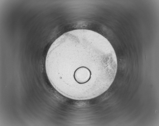 X0000063450370200602101654