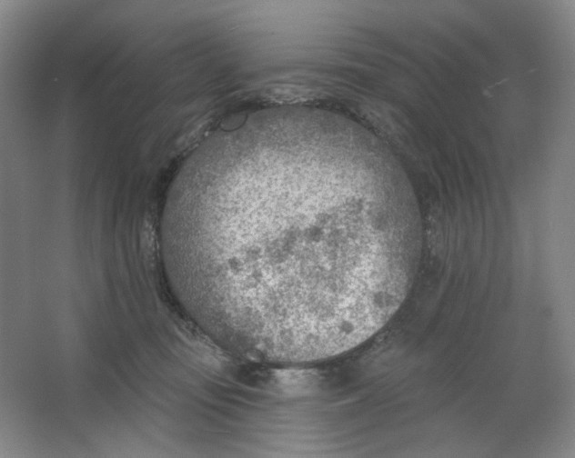 X0000063450371200602101654