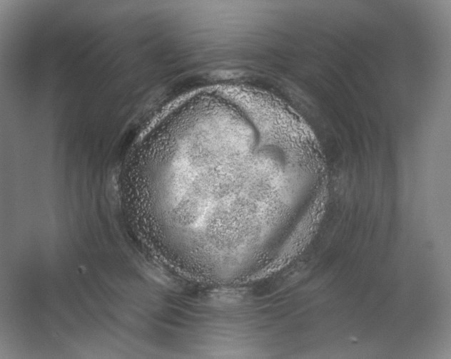 X0000063450373200602101654