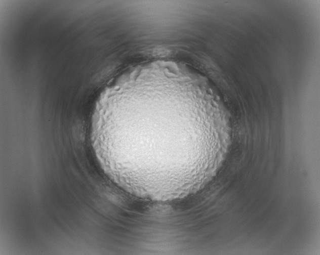 X0000063450374200602101654