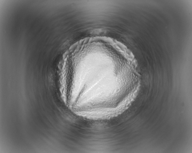 X0000063450375200602101654