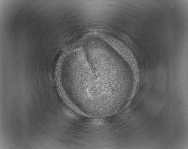 X0000063450377200602101655