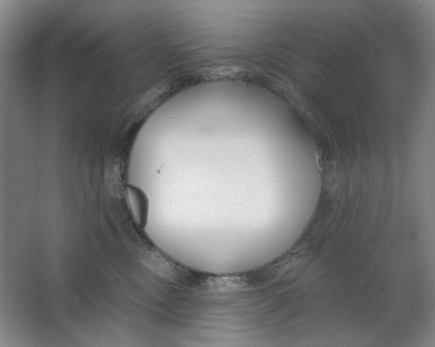 X0000063450378200602101655