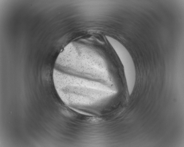 X0000063450379200602101655