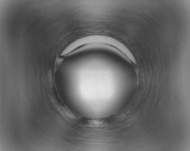 X0000063450380200602101655