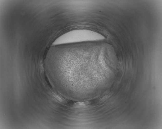 X0000063450381200602101655