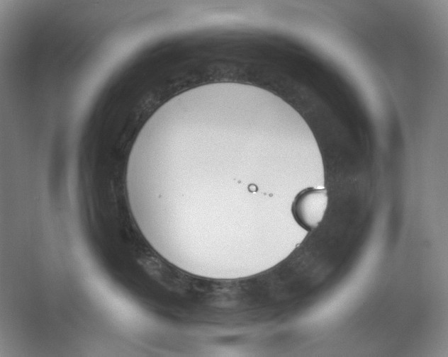 X0000063450382200602101655