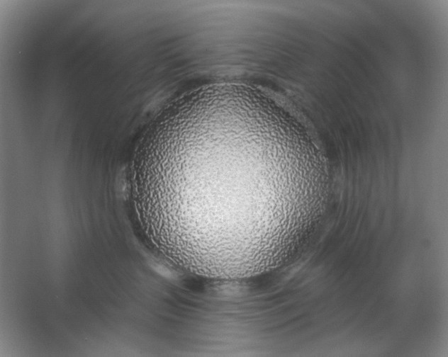 X0000063450383200602101655