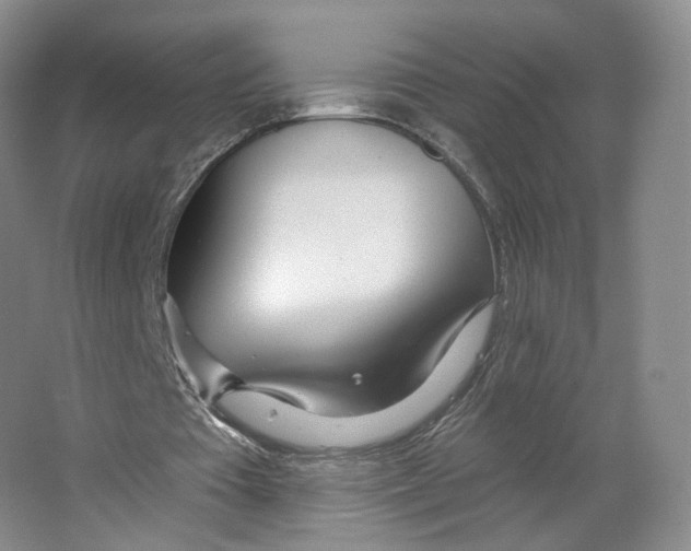 X0000063450385200602101654