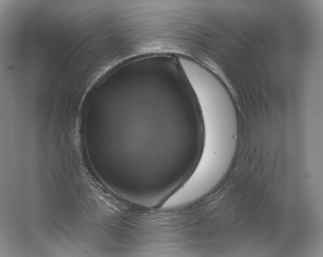 X0000063450387200602101654