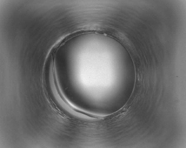 X0000063450388200602101654