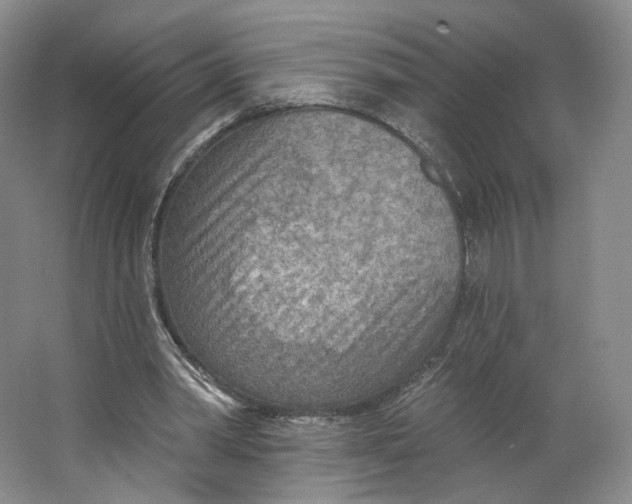 X0000063450390200602101654