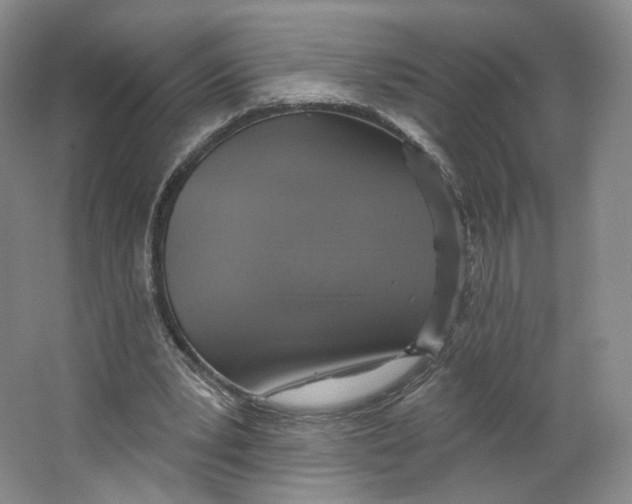 X0000063450391200602101654