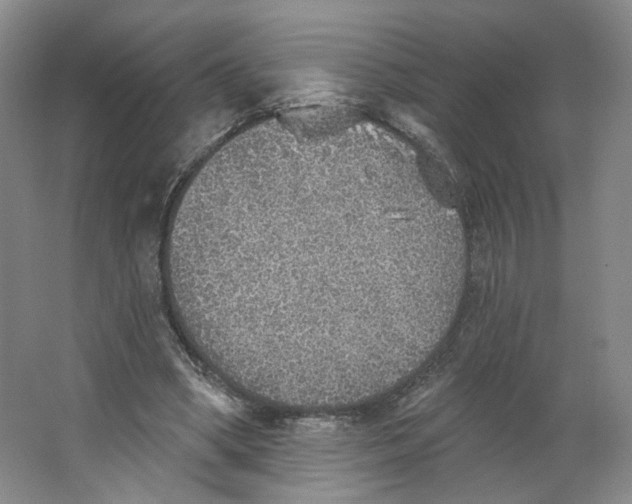 X0000063450394200602101654