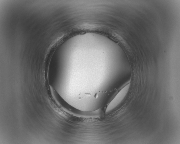 X0000063450399200602101654