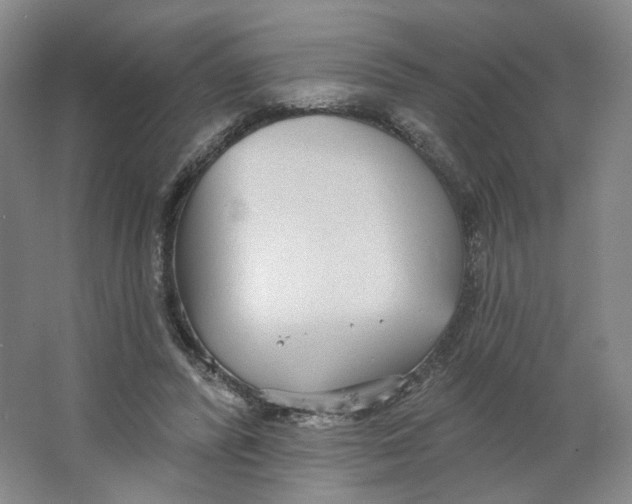 X0000063450400200602101654