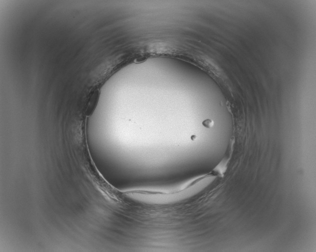 X0000063450401200602101654