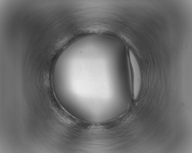 X0000063450403200602101654