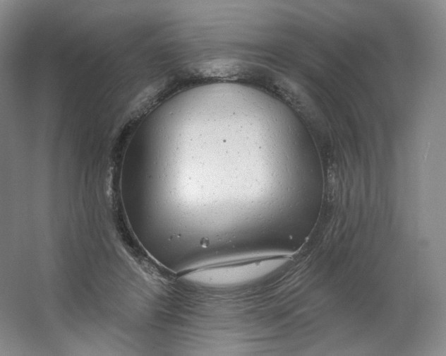 X0000063450404200602101654