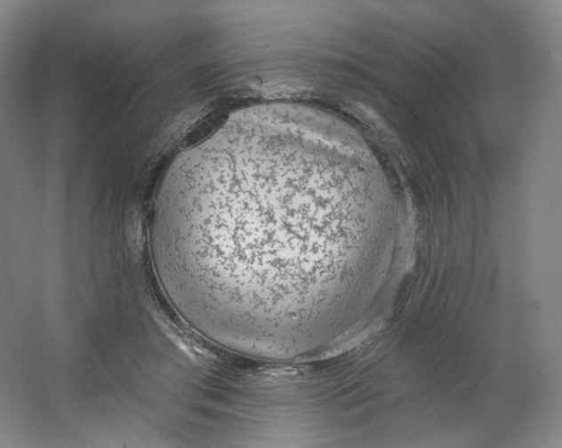 X0000063450405200602101653