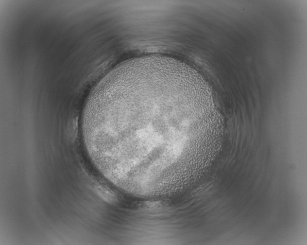 X0000063450406200602101653