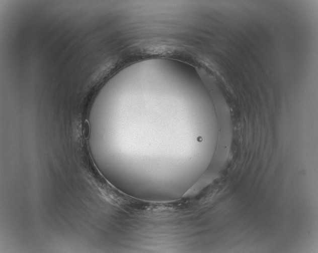 X0000063450407200602101653