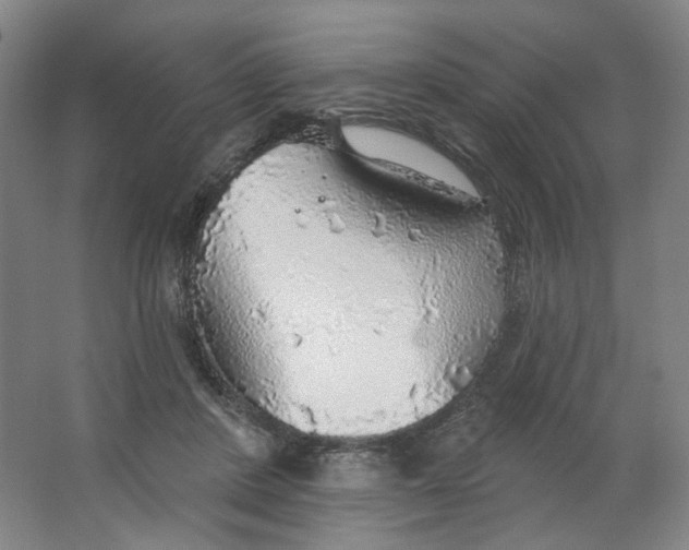 X0000063450408200602101653